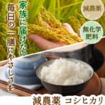 genkosi