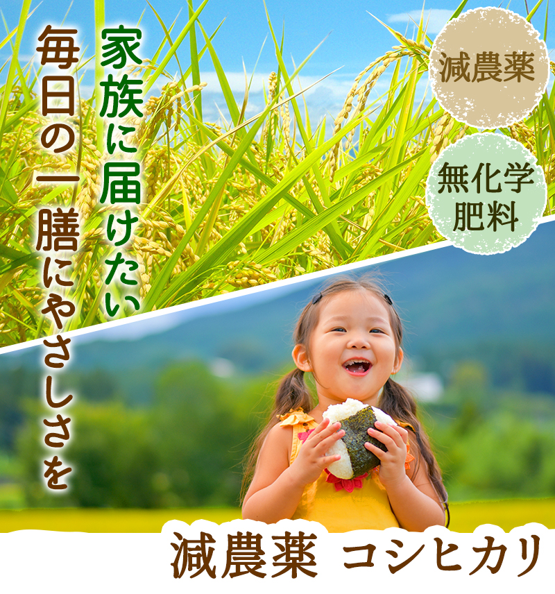 無農薬有機米コシヒカリ 玄米25kg 福井・令和6年新米 精米無料・食味ランクS 無農薬・無化学肥料 コシヒカリ「プレミアム」令和元年福井県