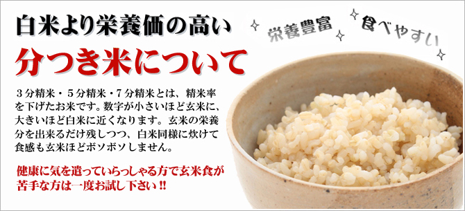 5kg玄米、3分搗き(玄米9.5 9.5分)小分け3 楽天市場】玄米 3分づき 5kgの通販