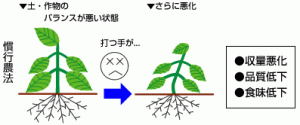 kankou_nouhou