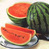 wmelon-2