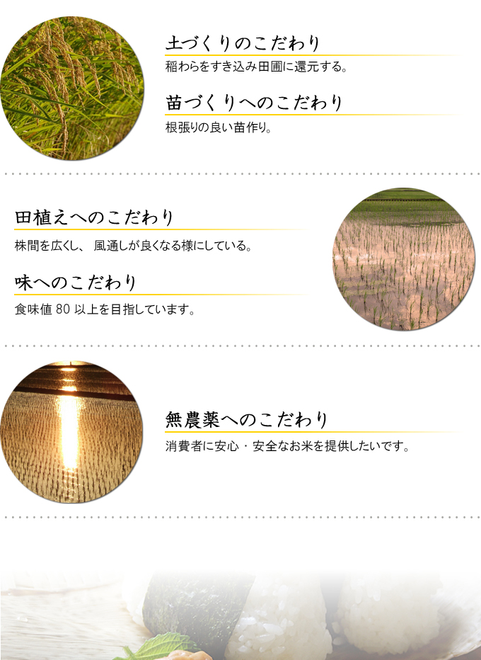 こさわりの栽培方法