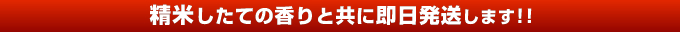 精米したての香りと共に即日発送します