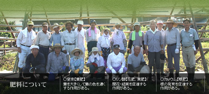 id_grude_farm_img04