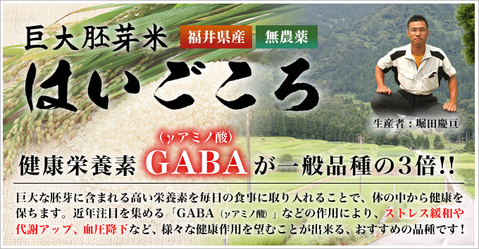 巨大胚芽米 はいごころ