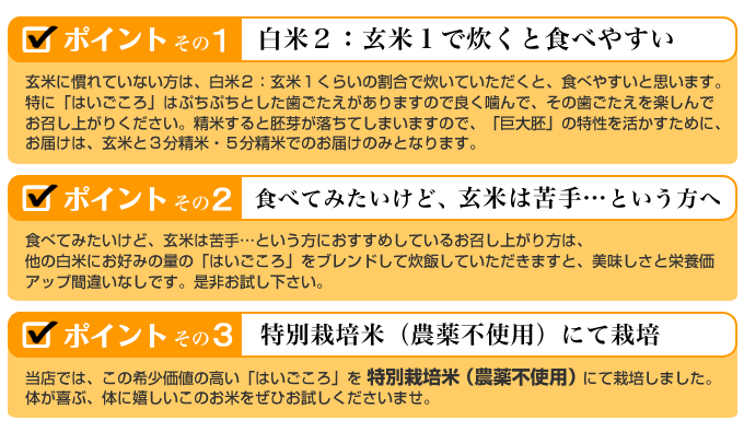 はいごころのポイント
