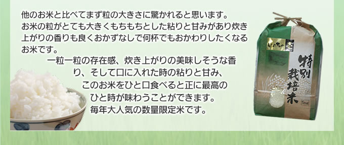 一粒一粒の存在感、炊き上がりの美味しそうな香り、そして口に入れた時の粘りと甘み、最高のひと時を味わうことができます。