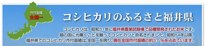 コシヒカリのふるさと福井県