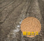 醤油カスを利用した土壌