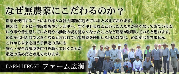 ファーム広瀬:無農薬のこだわり:安心・安全な環境を作りを護っていくことが私達の務めだと考えております。