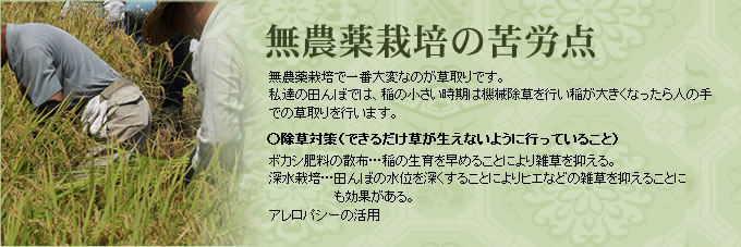 ファーム広瀬:無農薬のこだわり:安心・安全な環境を作りを護っていくことが私達の務めだと考えております。