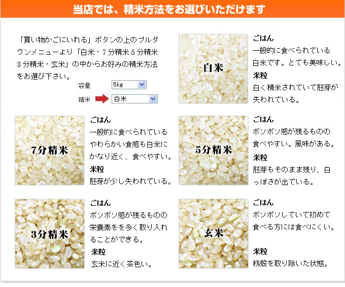 ☆令和5年産　玄米23㎏　農家の美味しいお米 ☆  （分づき精米可)食品・飲料・酒