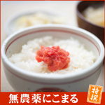 無農薬にこまる特選