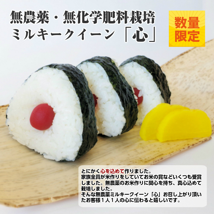ミルキークイーン心