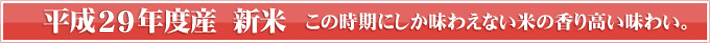 29年産新米