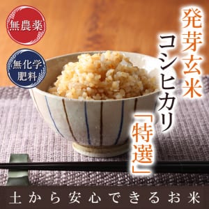 ふくい味覚倶楽部   無農薬米と無農薬の玄米とミルキークイーンの専門店