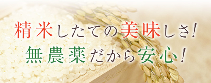 無農薬米だから安心