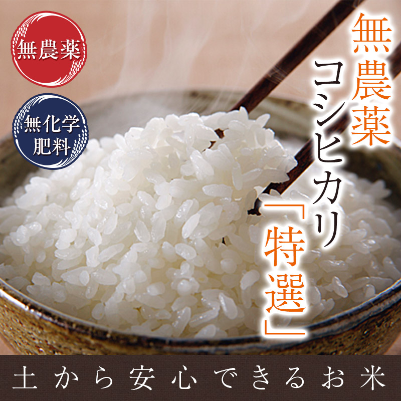 京都お米SALE！！ 新米コシヒカリの「中米」玄米30㎏ 入荷・数量限定です！
