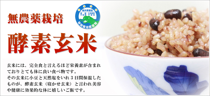 酵素玄米(寝かせ玄米)