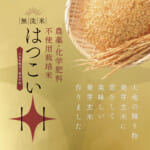 hatukoi