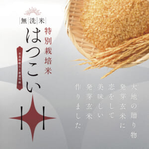hatukoi2