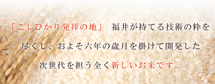 いちほまれ