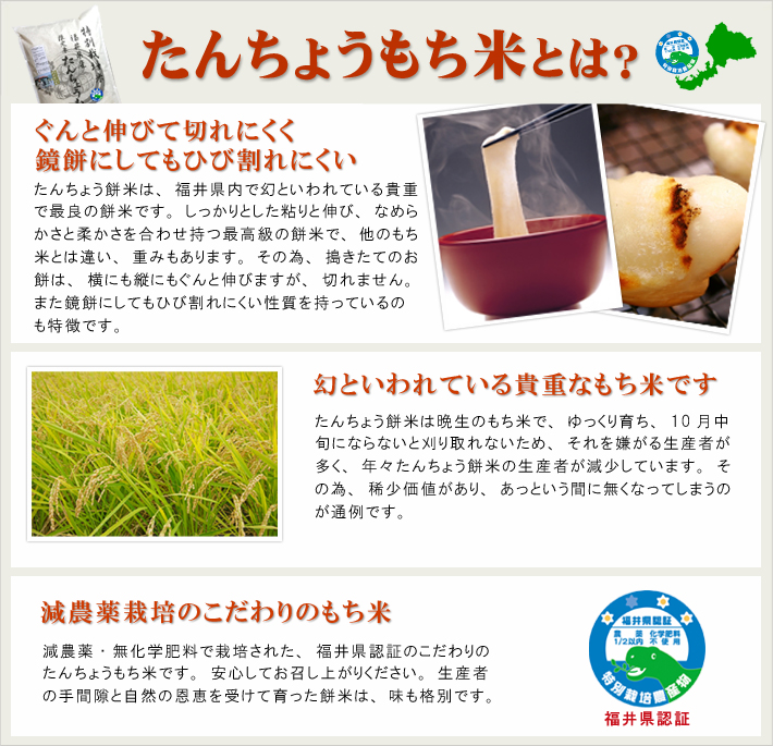 たんちょうもち米