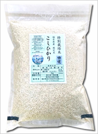 発芽玄米 無農薬 コシヒカリ