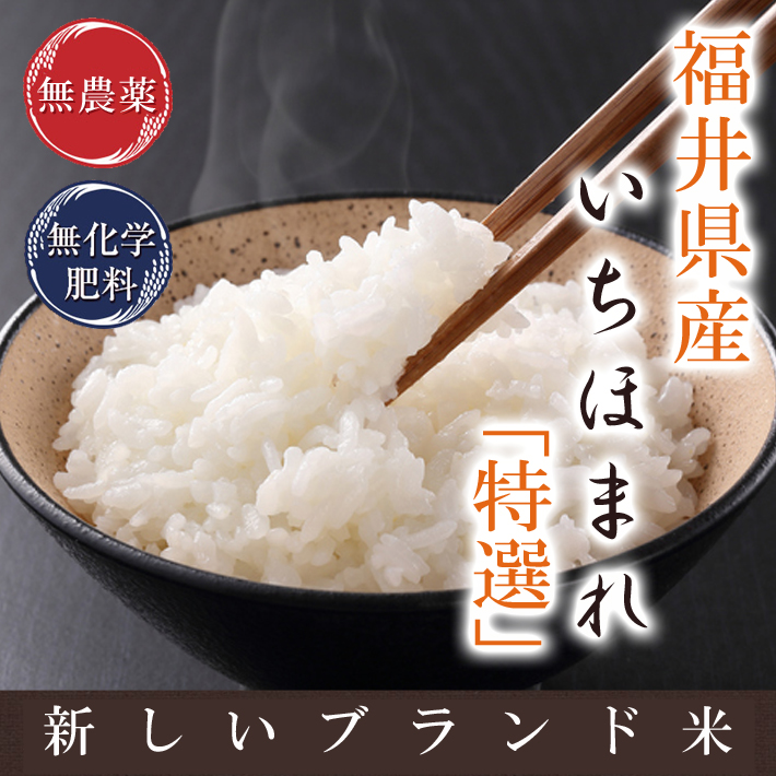 いちほまれ 無農薬 特選