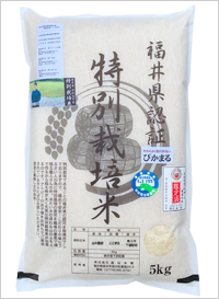 ぴかまる