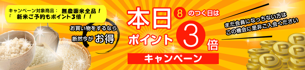 無農薬・無化学肥料栽培ミルキークイーン匠の田んぼ 7月16日