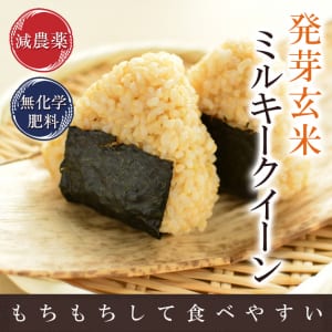 hagemi