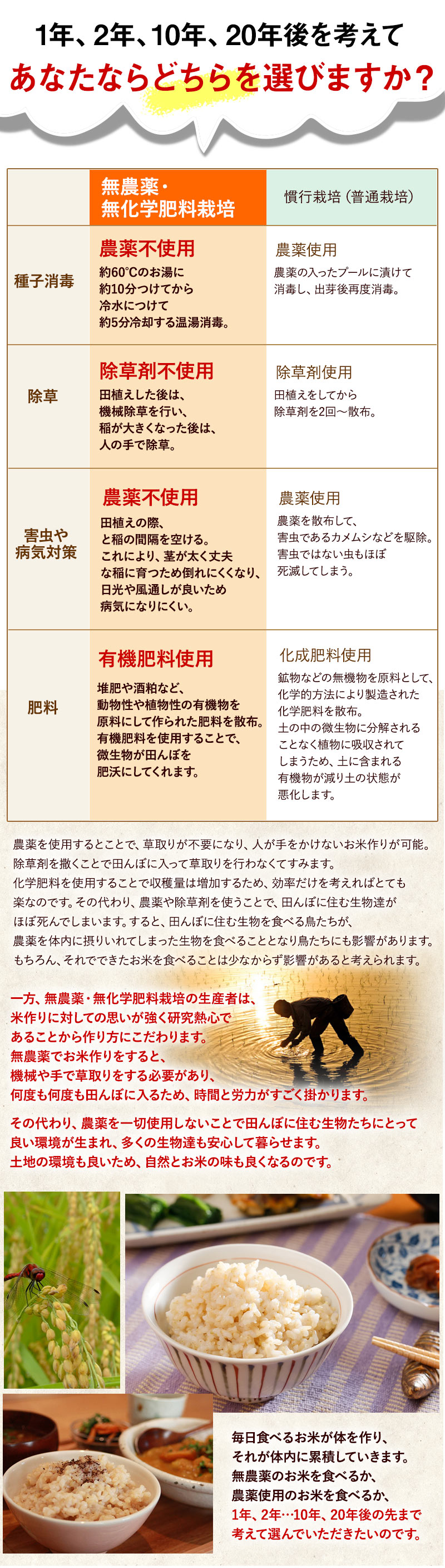 1年、2年、10年、20年後を考えてあなたならどちらを選びますか？