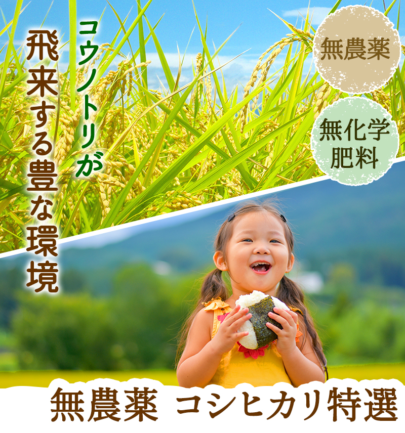 コウノトリが飛来する豊かな環境