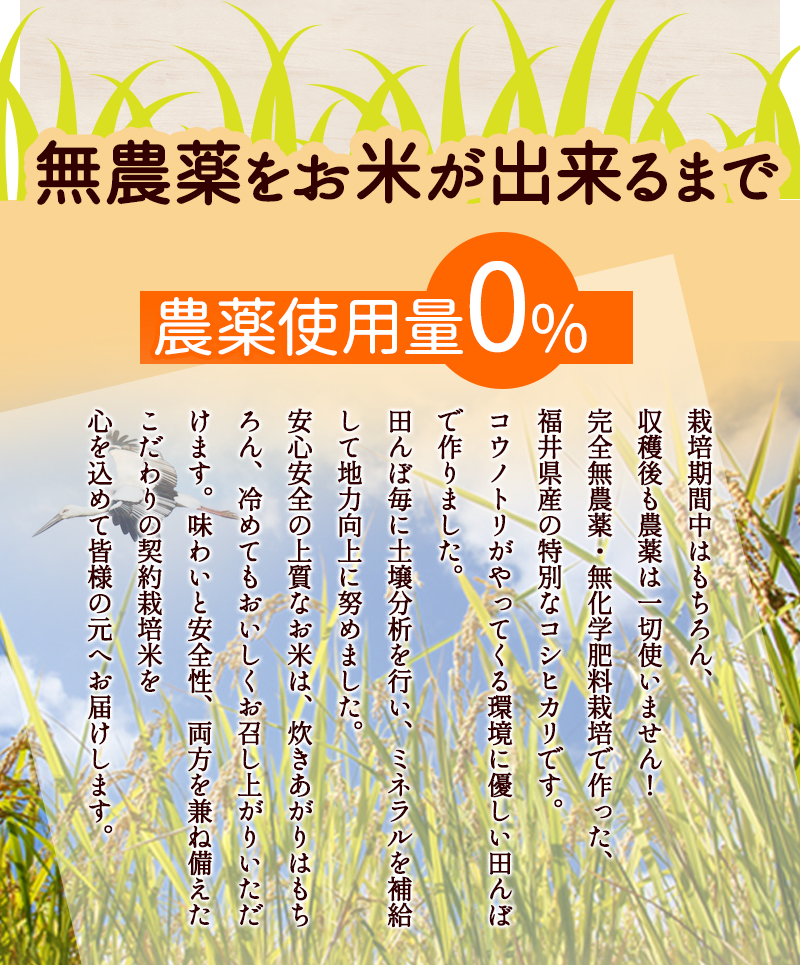 無農薬のお米が出来るまで