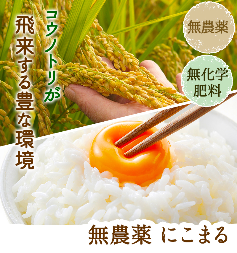 無農薬米にこまる｜ふくい味覚倶楽部 | ふくい味覚倶楽部