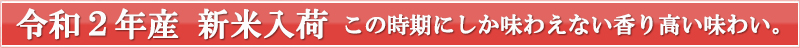 新米入荷