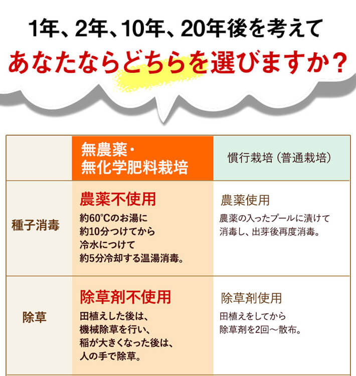 あなたならどちらを選びますか?