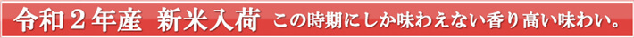 新米入荷