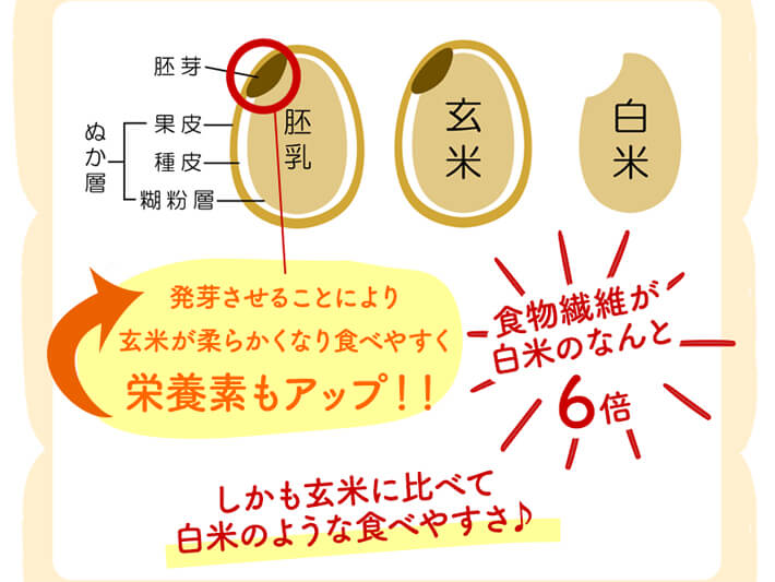 食物繊維が6倍