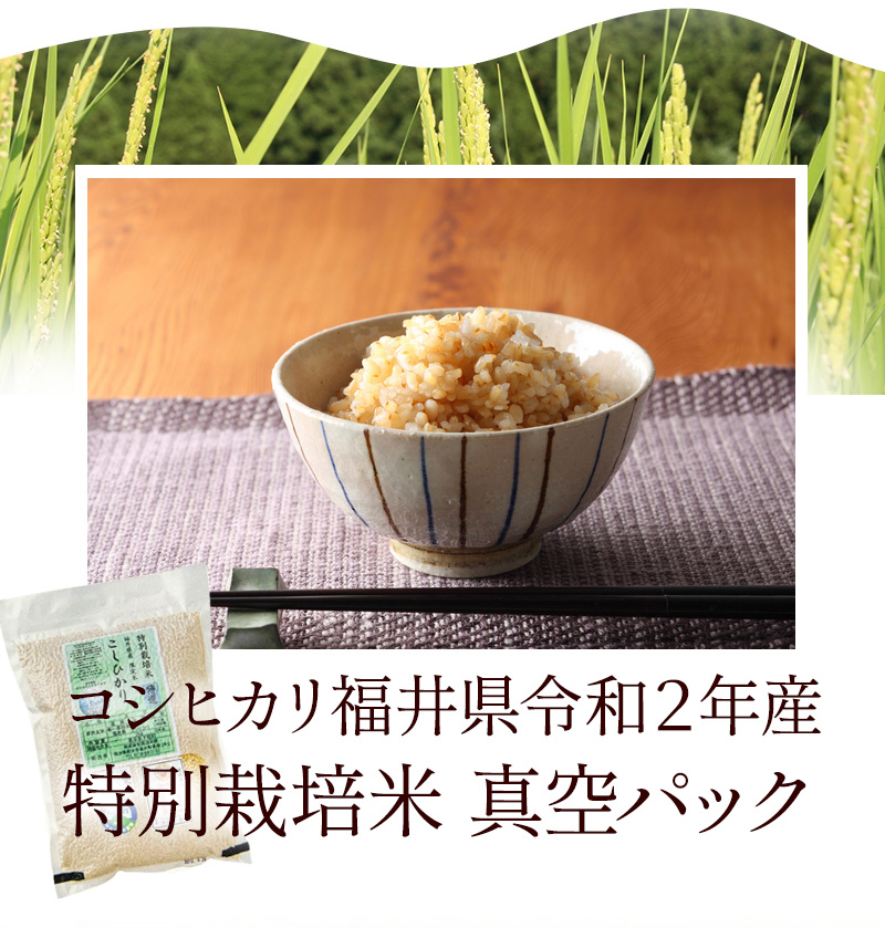 発芽玄米 無農薬 無化学肥料 コシヒカリ 特選 福井県令和元年産新米 特別栽培米 真空パック 食味値が高得点 ふくい味覚倶楽部 発芽玄米 無農薬 無化学肥料 コシヒカリ 特選 福井県令和元年産新米 特別栽培米 真空パック 食味値が高得点 ふくい味覚倶楽部