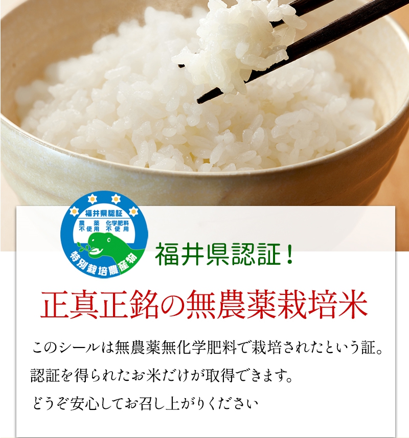 無農薬・無化学肥料 コシヒカリ「プレミアム」令和元年福井県年産 特別