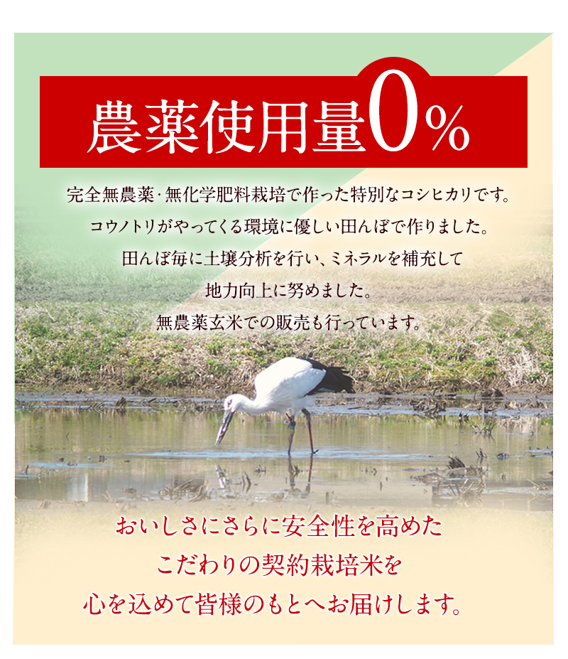 発芽玄米 無農薬・無化学肥料 コシヒカリ特選福井県令和産新米