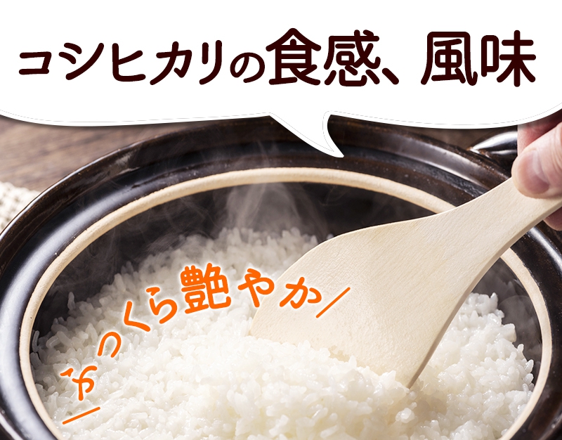 無農薬・無化学肥料 コシヒカリ「特選」福井県令和2年産新米 特別栽培