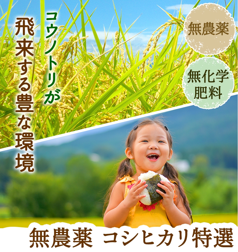 無農薬・無化学肥料 コシヒカリ「特選」福井県令和2年産新米 特別栽培