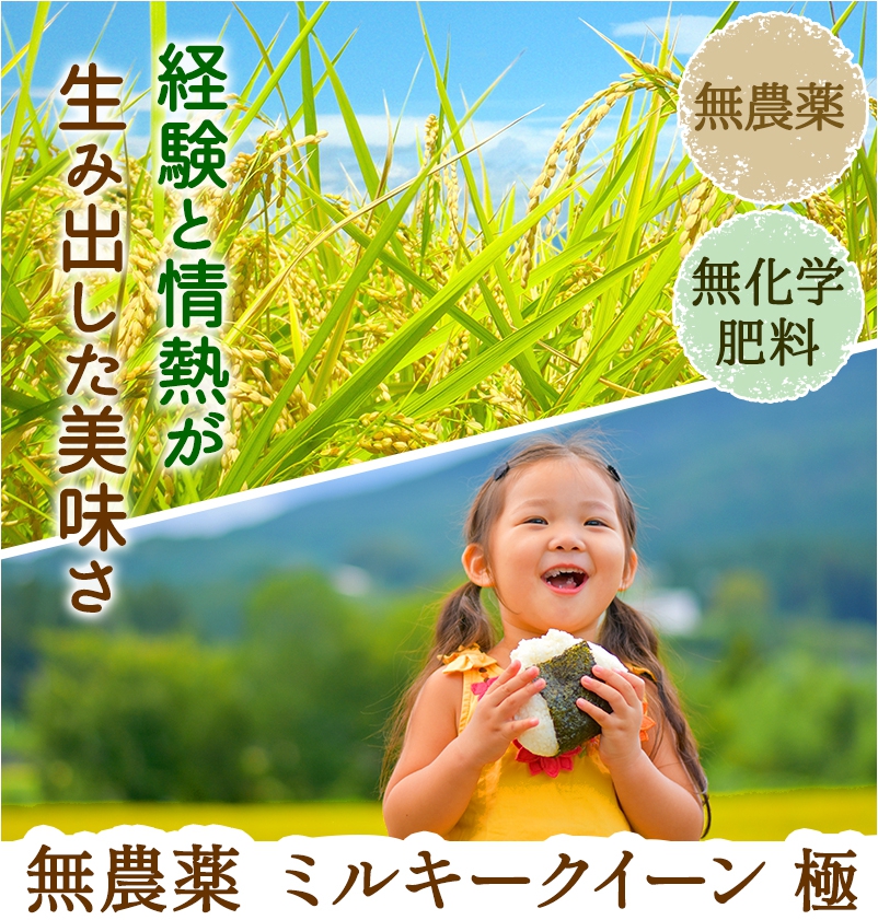 無農薬・無化学肥料 お米の女王 ミルキークイーン「極」令和3年福井県