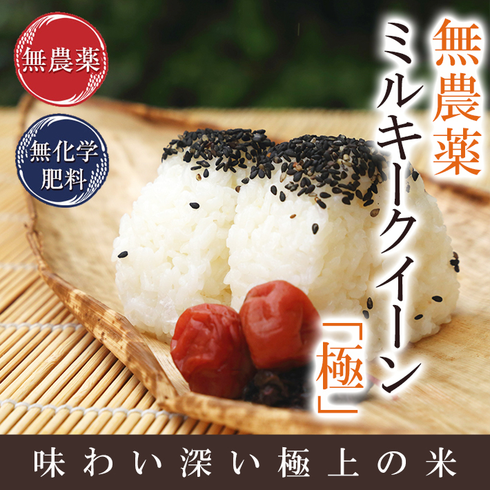 令和3年産 新米 無農薬栽培米 ミルキークイーン 玄米 2kg３個