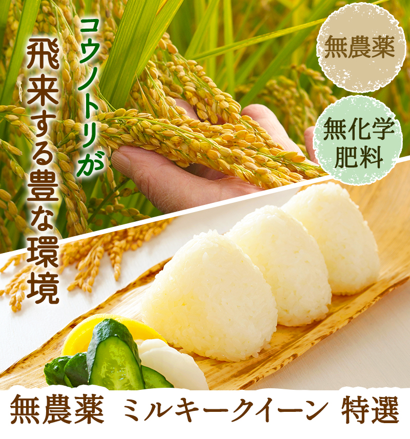 玄米　2kg７個-　令和3年産　無農薬栽培米　新米　ミルキークイーン