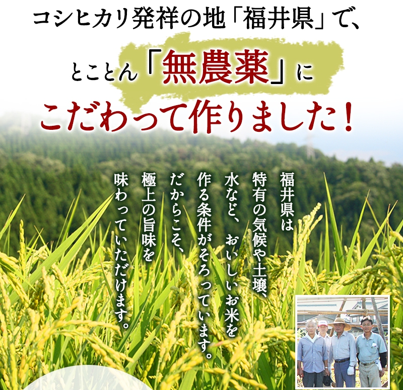 無農薬米ミルキークイーン「特選」 | ふくい味覚倶楽部