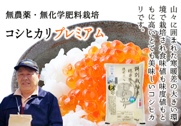 無農薬 コシヒカリ プレミアム